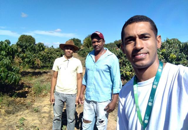 Producao de manga no Norte de MG ganha reforco com ATeG SENAR MINAS Producao de manga no Norte de MG ganha reforco com ATeG SENAR MINAS