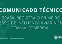 Brasil registra o primeiro caso de influenza aviária em granja comercial
