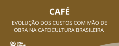 Evolução dos custos com mão de obra na cafeicultura brasileira