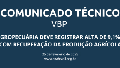VBP DA AGROPECUÁRIA DEVE REGISTRAR ALTA DE 9,1% EM 2025, COM RECUPERAÇÃO DA PRODUÇÃO AGRÍCOLA