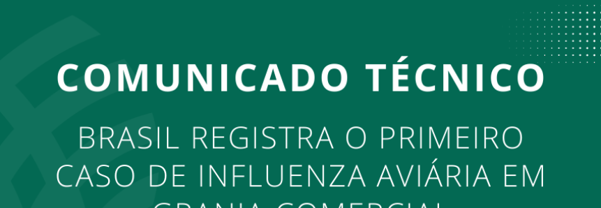 Brasil registra o primeiro caso de influenza aviária em granja comercial