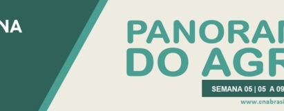 Panorama do Agro - Semana de 5 a 9 de maio