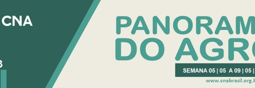 Panorama do Agro - Semana de 5 a 9 de maio