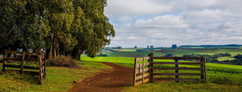Fazenda Fazenda